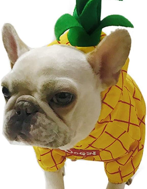 Load image into Gallery viewer, Pineapple Pet Costume, Halloween Pet Dogs Cosplay Coat for Party Christmas Special Events Costume
