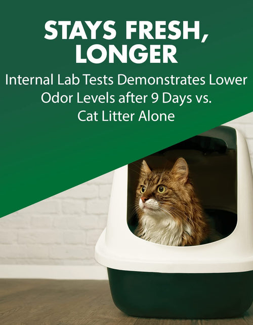 Load image into Gallery viewer, Cat Litter Deodorizer
