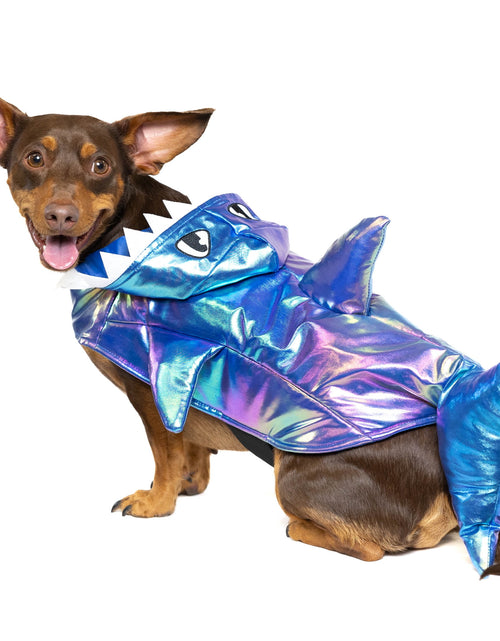 Load image into Gallery viewer, Halloween Dog Costume and Cat Costume: Shark, Size Medium
