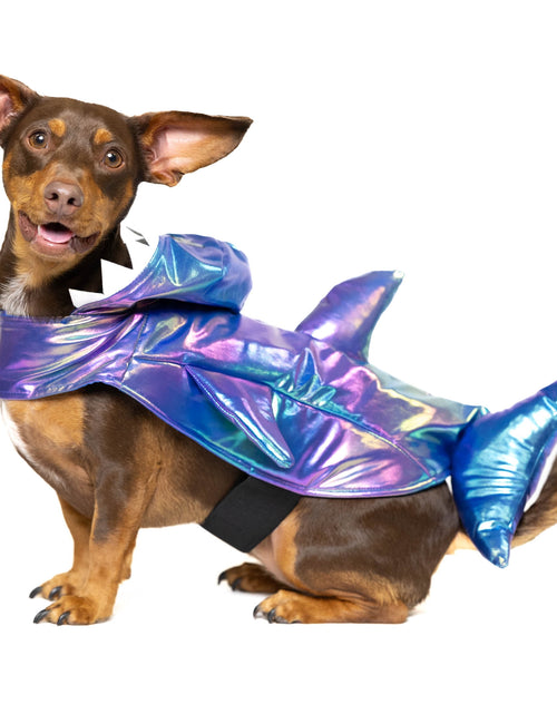 Load image into Gallery viewer, Halloween Dog Costume and Cat Costume: Shark, Size Medium
