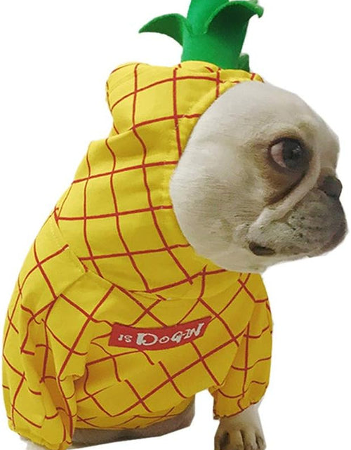 Load image into Gallery viewer, Pineapple Pet Costume, Halloween Pet Dogs Cosplay Coat for Party Christmas Special Events Costume
